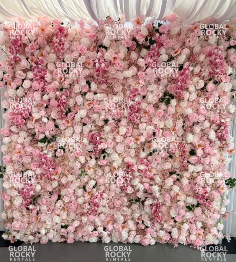 Backdrop 3